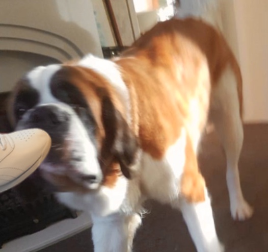 153DDF98-1609-44BA-879B-C79EA2ED7E21.jpeg