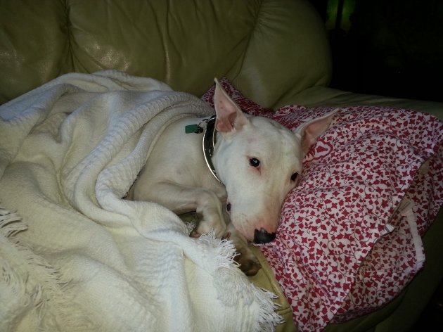 20120619_201552.jpg