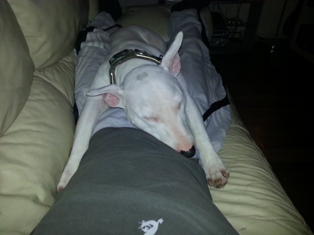 20130124_215912.jpg