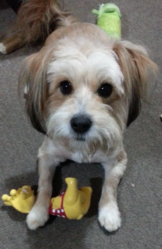 20130908_182257 cropped.jpg