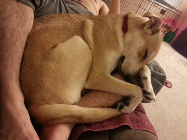 20140110_225805.jpg