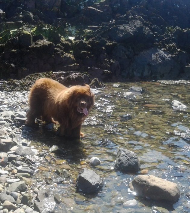 20140531_123649.jpg