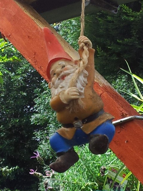 20140807_131044.jpg