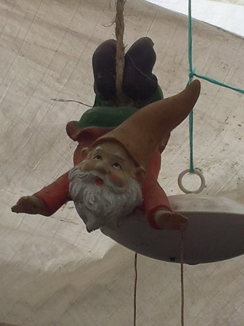 20140807_131056.jpg