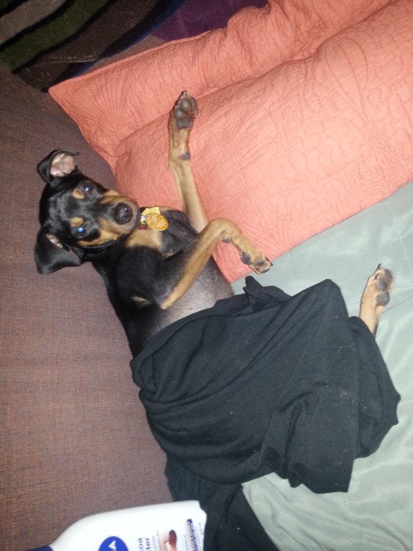 20141025_004657.jpg