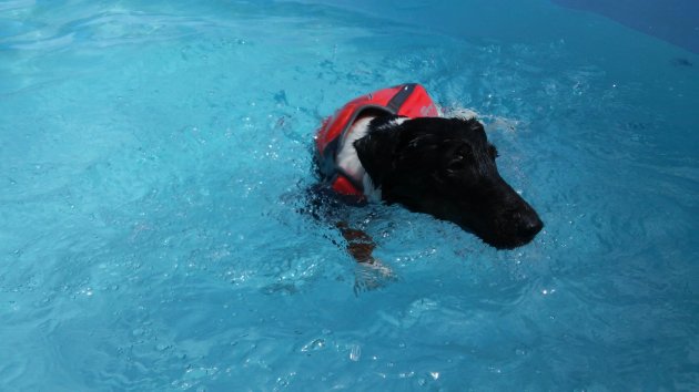 20150710_141519_resized.jpg