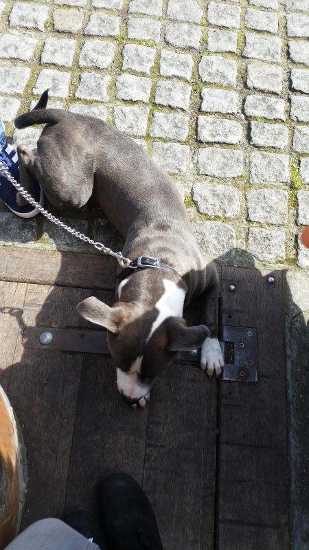 20160402_141215.jpg