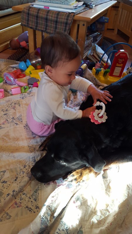 20160404_082137.jpg