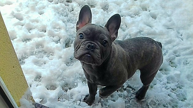 2017-12-10_13.18.23.jpg