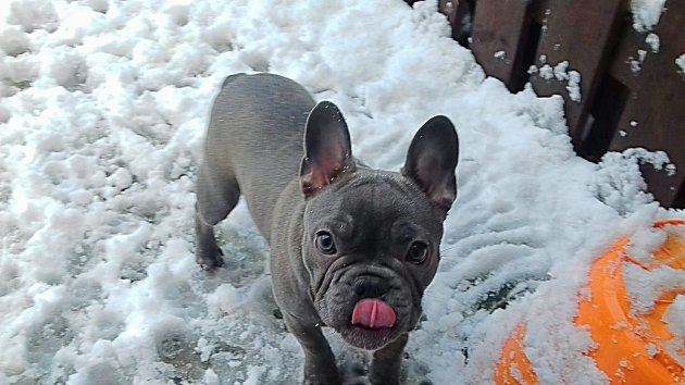 2017-12-10_13.19.16.jpg