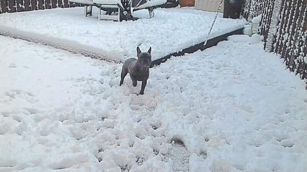 2017-12-10_13.25.00.jpg