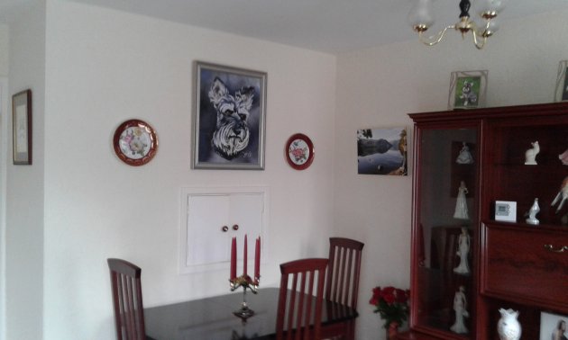 20170222_134648.jpg