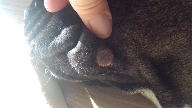 20170809_165552.jpg