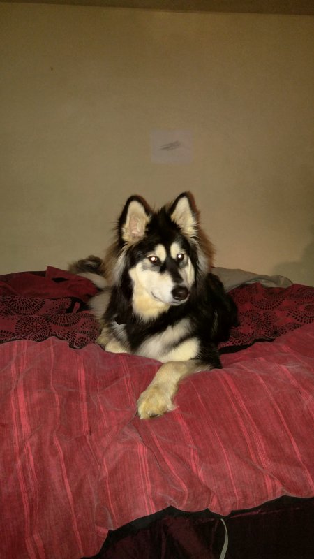 20171122_211843.jpg