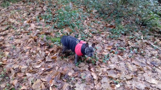 20171207_140120.jpg