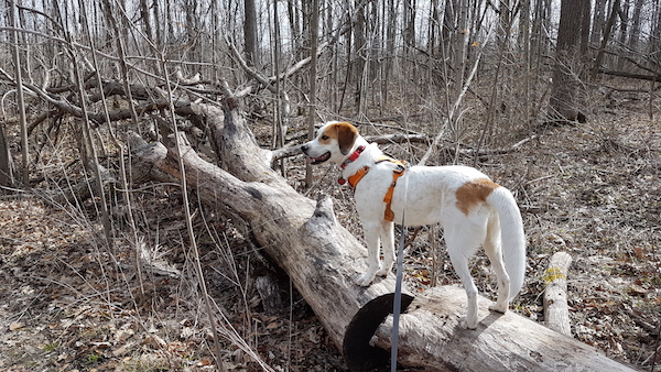 20180424_103135.jpg