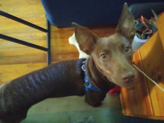 20180608_093537.jpg