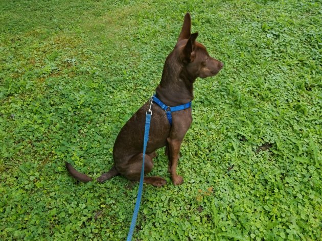 20180725_184526.jpg