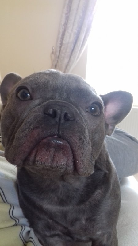 20180911_113445.jpg