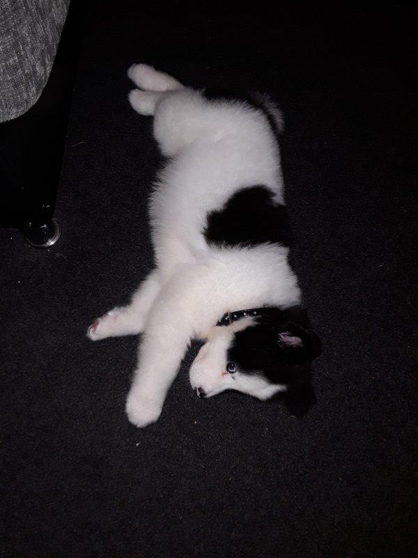 20180912_022213.jpg