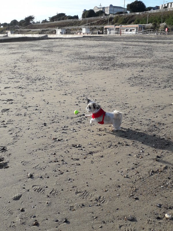 20181114_133934.jpg