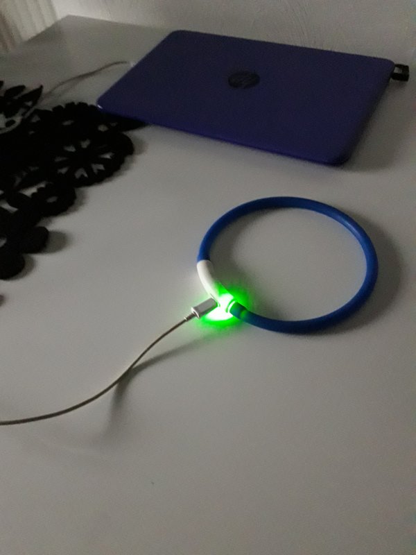 20181120_081719.jpg
