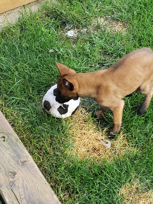 20190807_064736.jpg