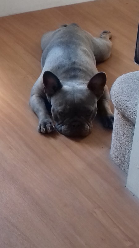 20190813_132605.jpg