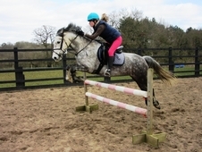 416010_14-1hh-sj-whp-pony-club-connemara_img_1432292033.jpg