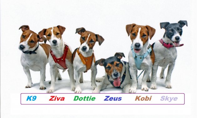 6 JR's - Copy NAMES.jpg