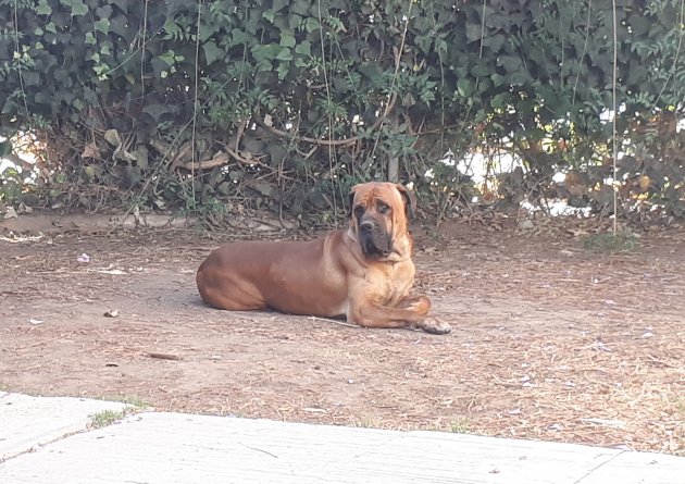 acostadoFrente3.jpg