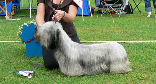 adaerkkari08.jpg