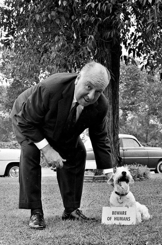 AH_SealyhamTerrier.jpg