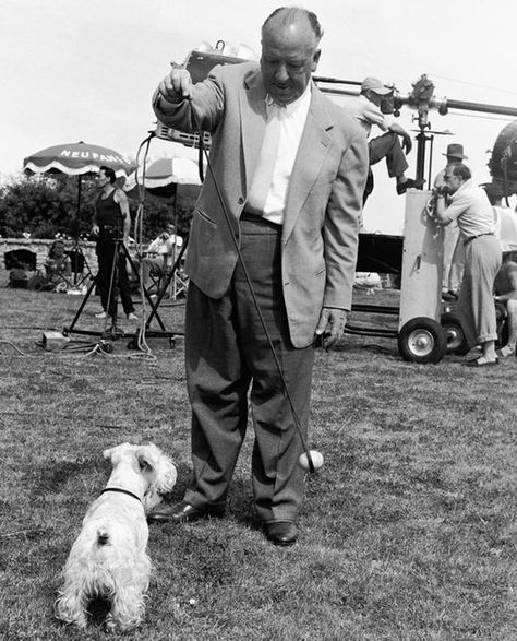 AH_SealyhamTerrier2.jpg