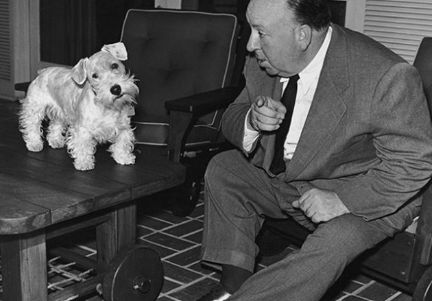AH_SealyhamTerrier3.jpg