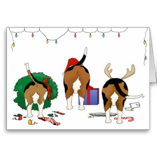 BeagleButts.jpg