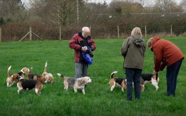 BeagmeetNigel.PNG