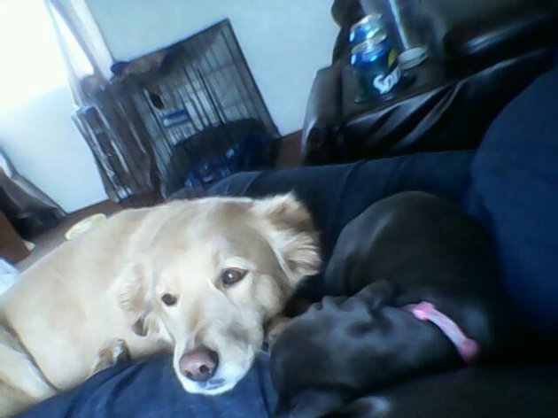 brena and katie.jpg