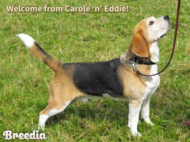 Carole-eddie.jpg