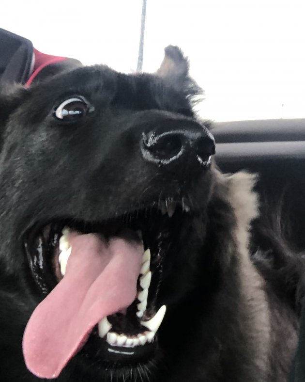 Coco1.jpeg