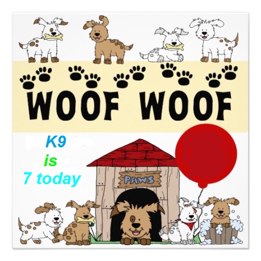 customised_puppy_dog_birthday_invitations-r3eb554094fe443aeb301d05323dd9445_imtet_8byvr_512.jpg