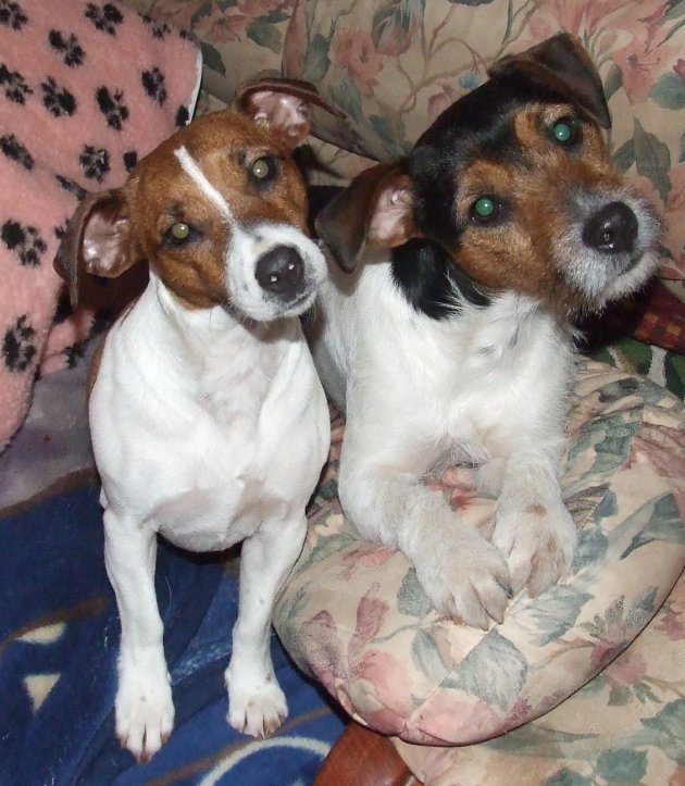 Dotwot & Zeus.JPG