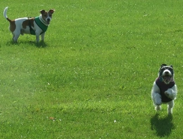 DSCF0034.JPG