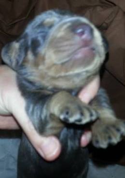first picture of brena.jpg