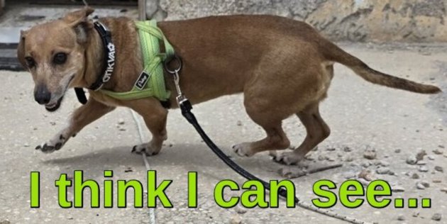 I THINK I CAN SEE....jpg
