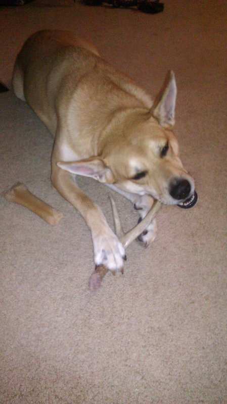IMAG0805.jpg