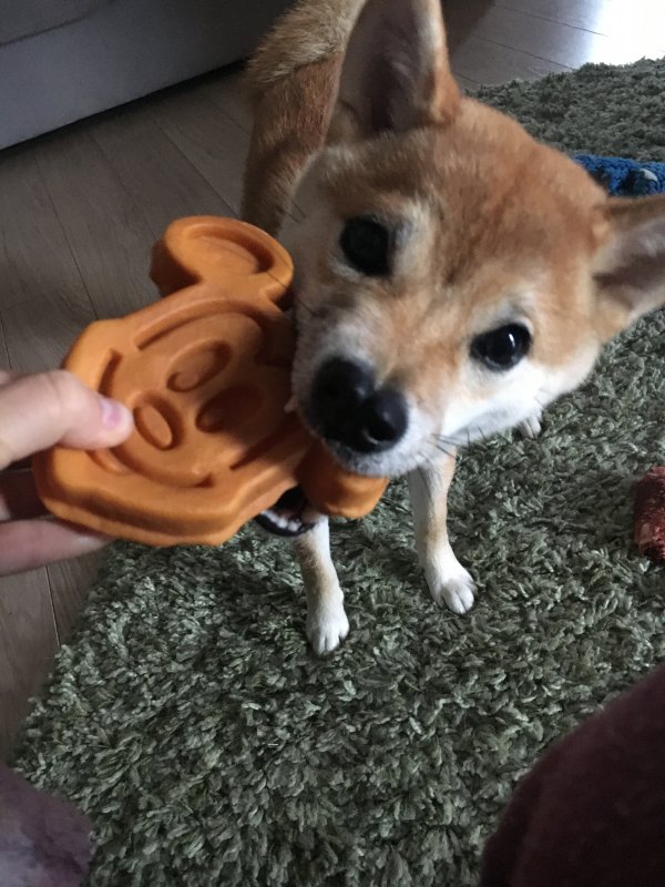 image.jpeg