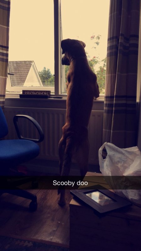 image.jpeg