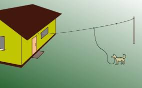 images8.jpg