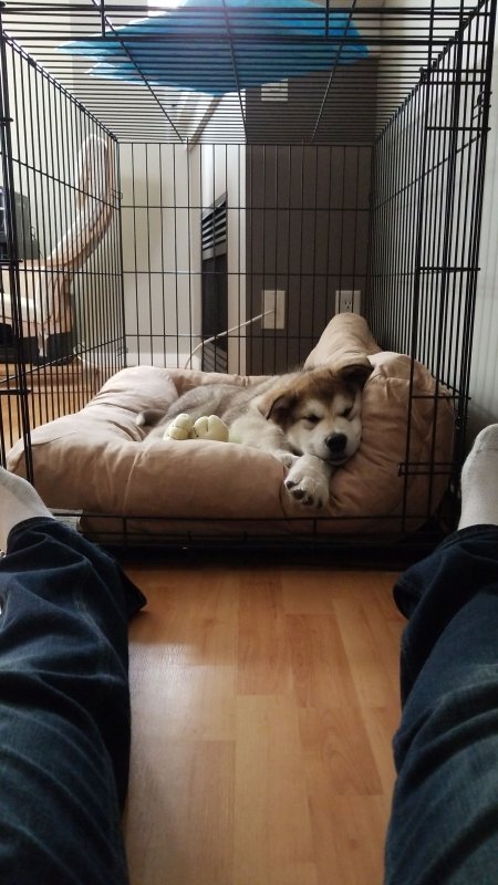 IMG-20180415-WA0009.jpeg